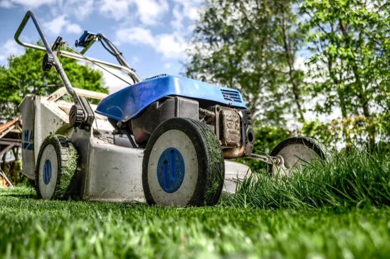 Is the size of your lawn a status symbol or a societal bad habit?