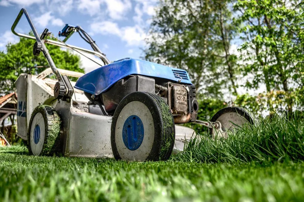 Garden gardening grass